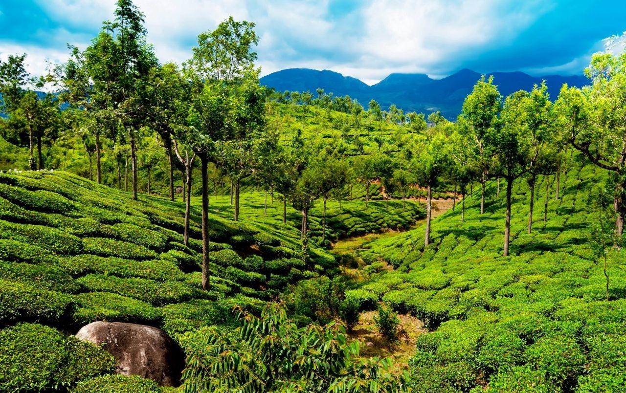 Kerala, Indien Reisen, Südindien, Naturlandschaften, Malabar, 1280x810 HD Desktop