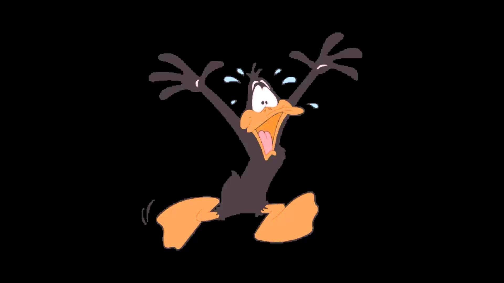 Daffy Duck, Abenteuer, Cartoon, Bild, Zeitlos, 1920x1080 Full HD Desktop