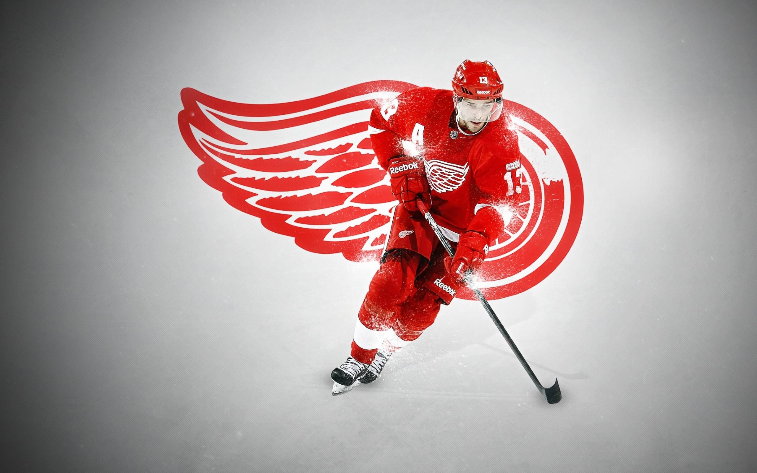 Detroit Red Wings, Kostenlose Hintergrund, NHL, Eishockey, Sport, 2560x1600 HD Desktop