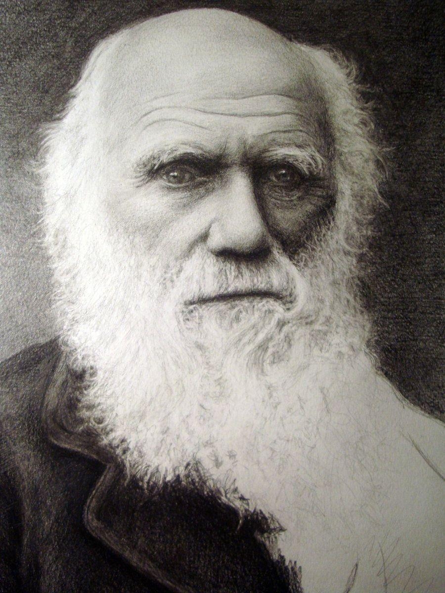 Darwin, Bild, Evolution, Wissenschaft, Hintergrund, 900x1200 HD Handy