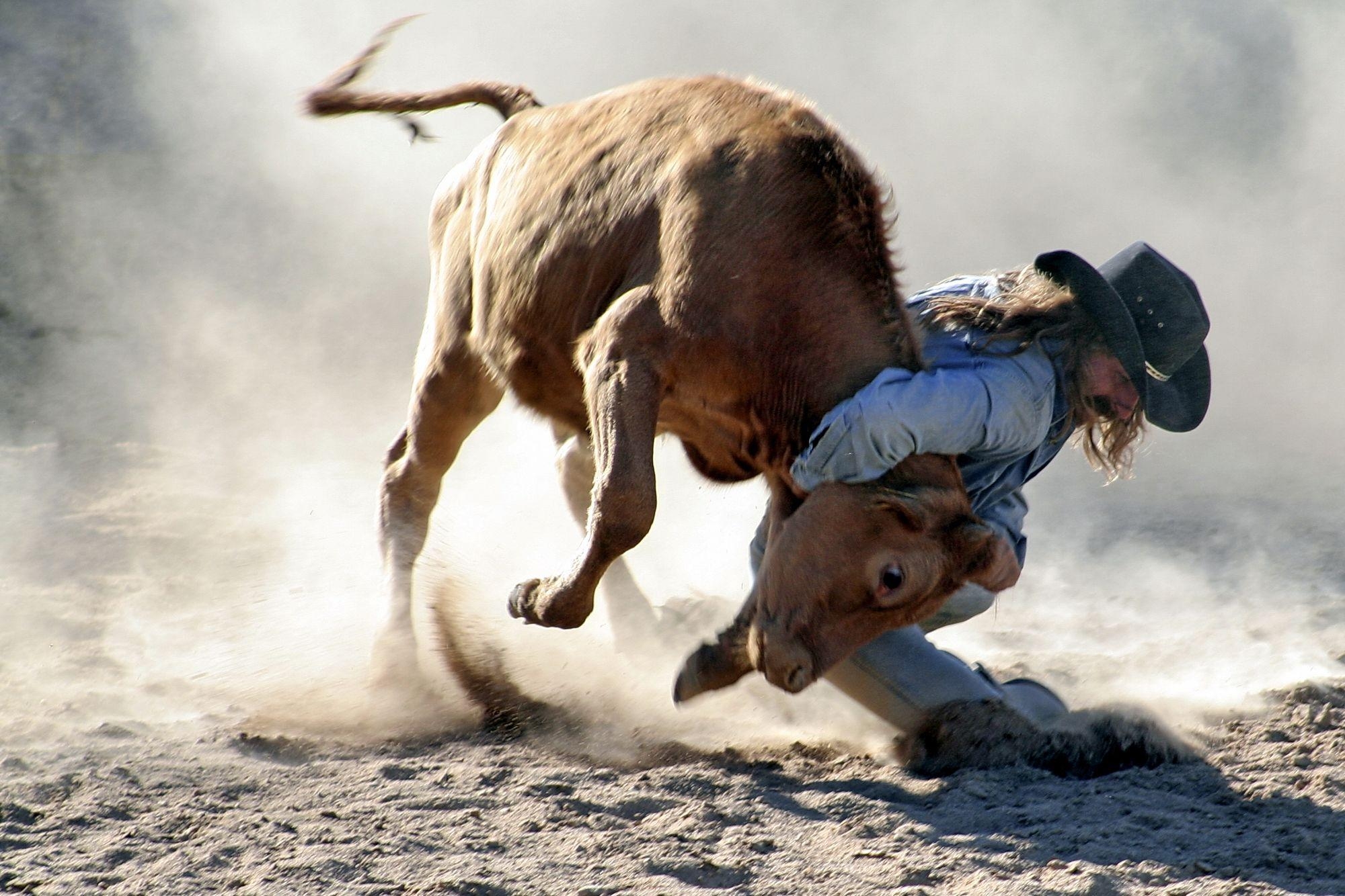 Rodeo Sport, Hohe Qualität, Cowboy, Abenteuer, Action, 2000x1340 HD Desktop