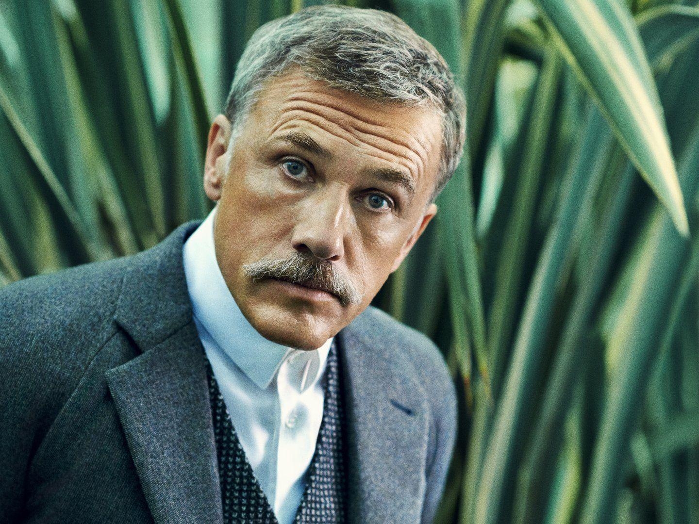 Christoph Waltz, 1080p, Wallpaper, Filmstar, Bild, 1440x1080 HD Desktop