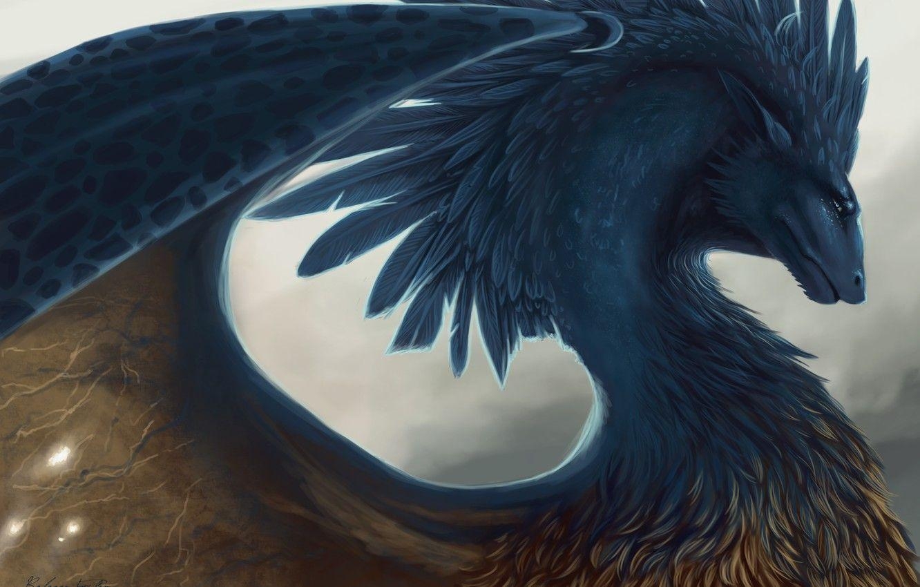 Drache, Federn, Fantasy Kunst, Eragon, Hintergrund, 1340x850 HD Desktop