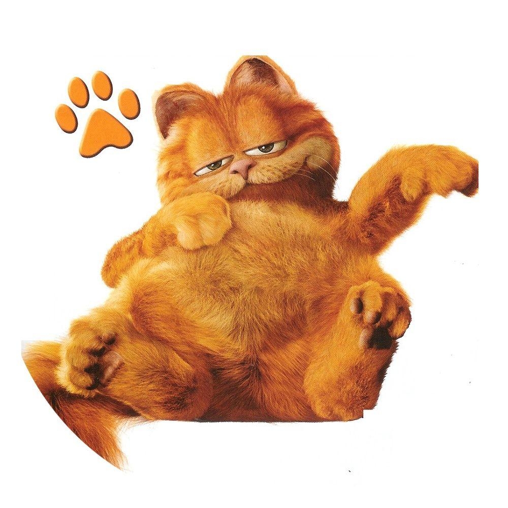 Garfield, MacBook, Comic-Hintergrund, Katze, Comic, 1000x1000 HD Handy