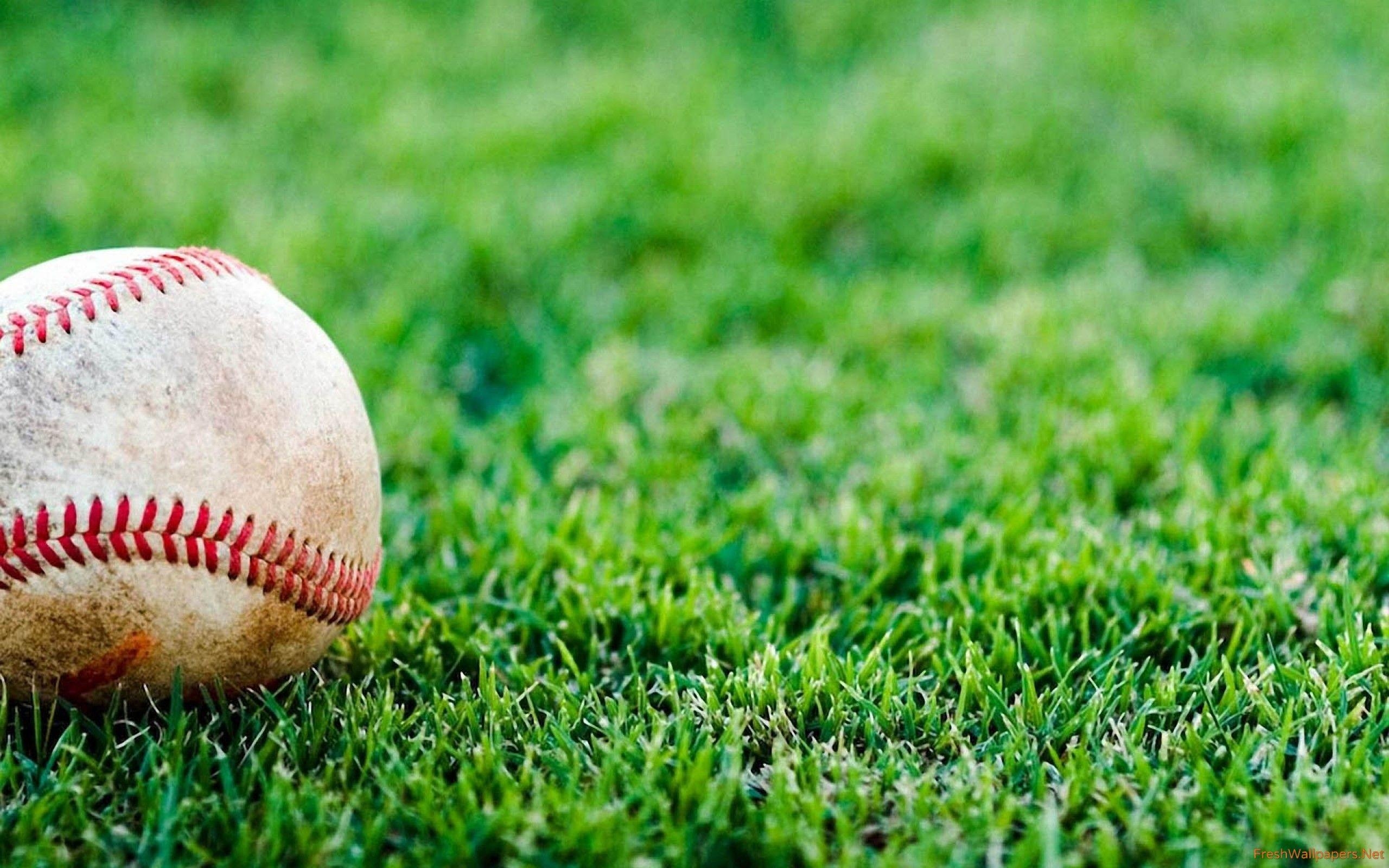 Baseball, HD, Cool, Bild, Sport, 2560x1600 HD Desktop