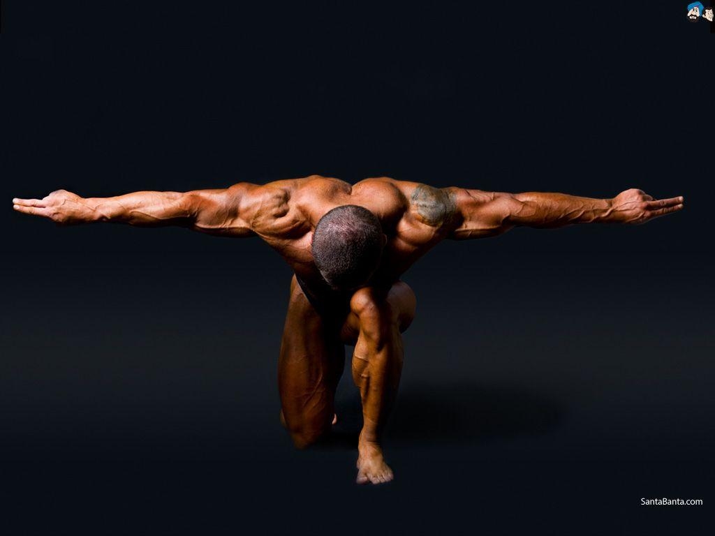 Bodybuilding, Sport, Muskelaufbau, Fitness, Bild, 1030x770 HD Desktop