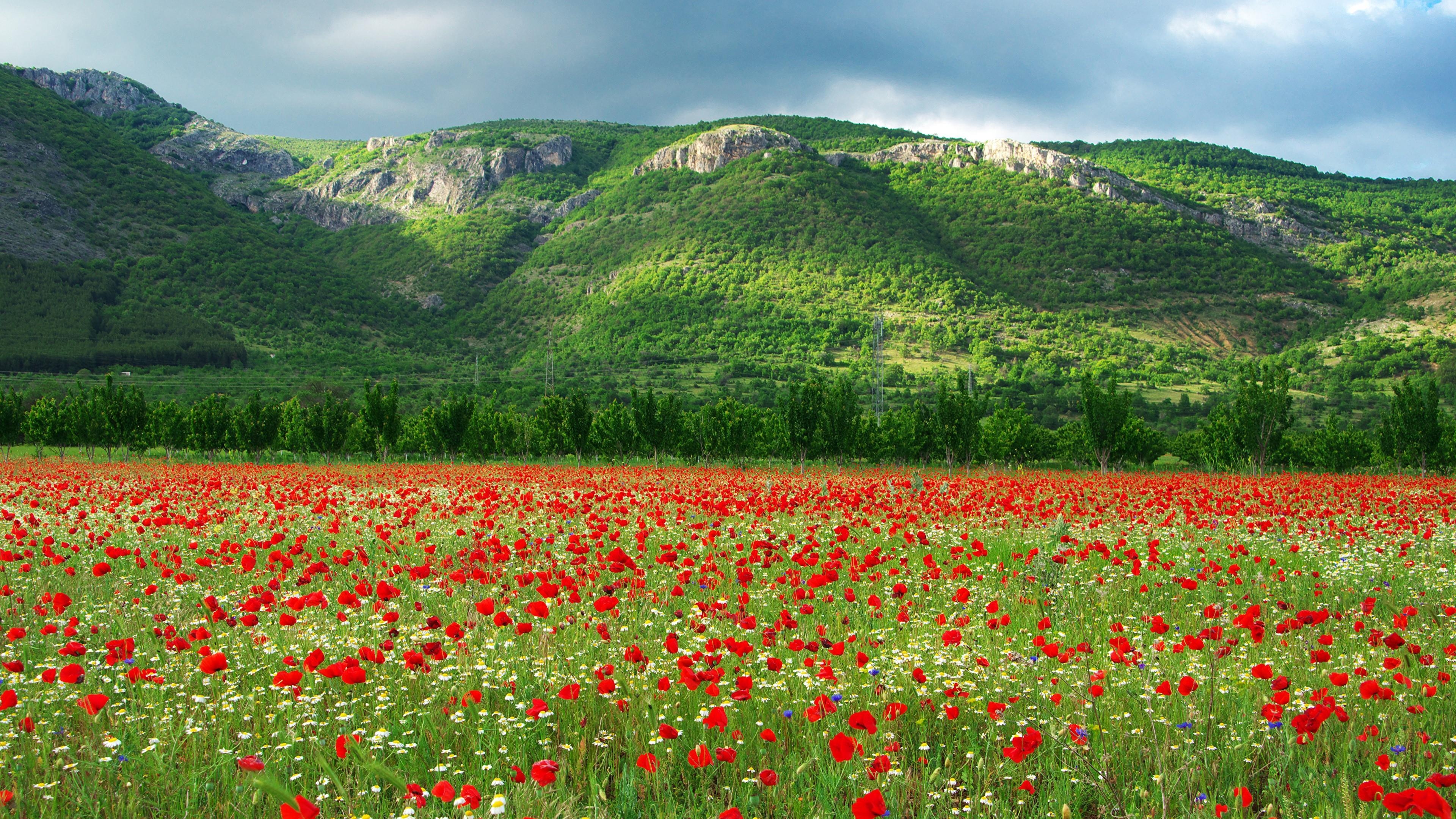 Kyustendil, Bulgarien, Reisen, Natur, Landschaft, 3840x2160 4K Desktop