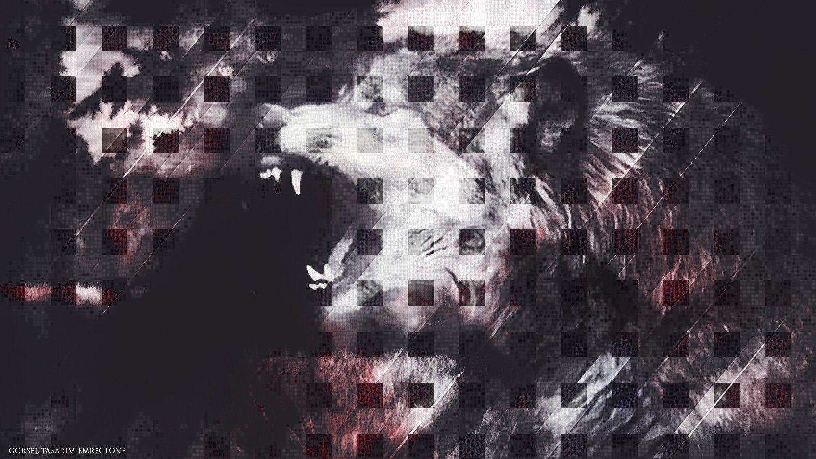 Lycan, Wolf, HD, Desktop, Mobiler Hintergrund, 1600x900 HD Desktop