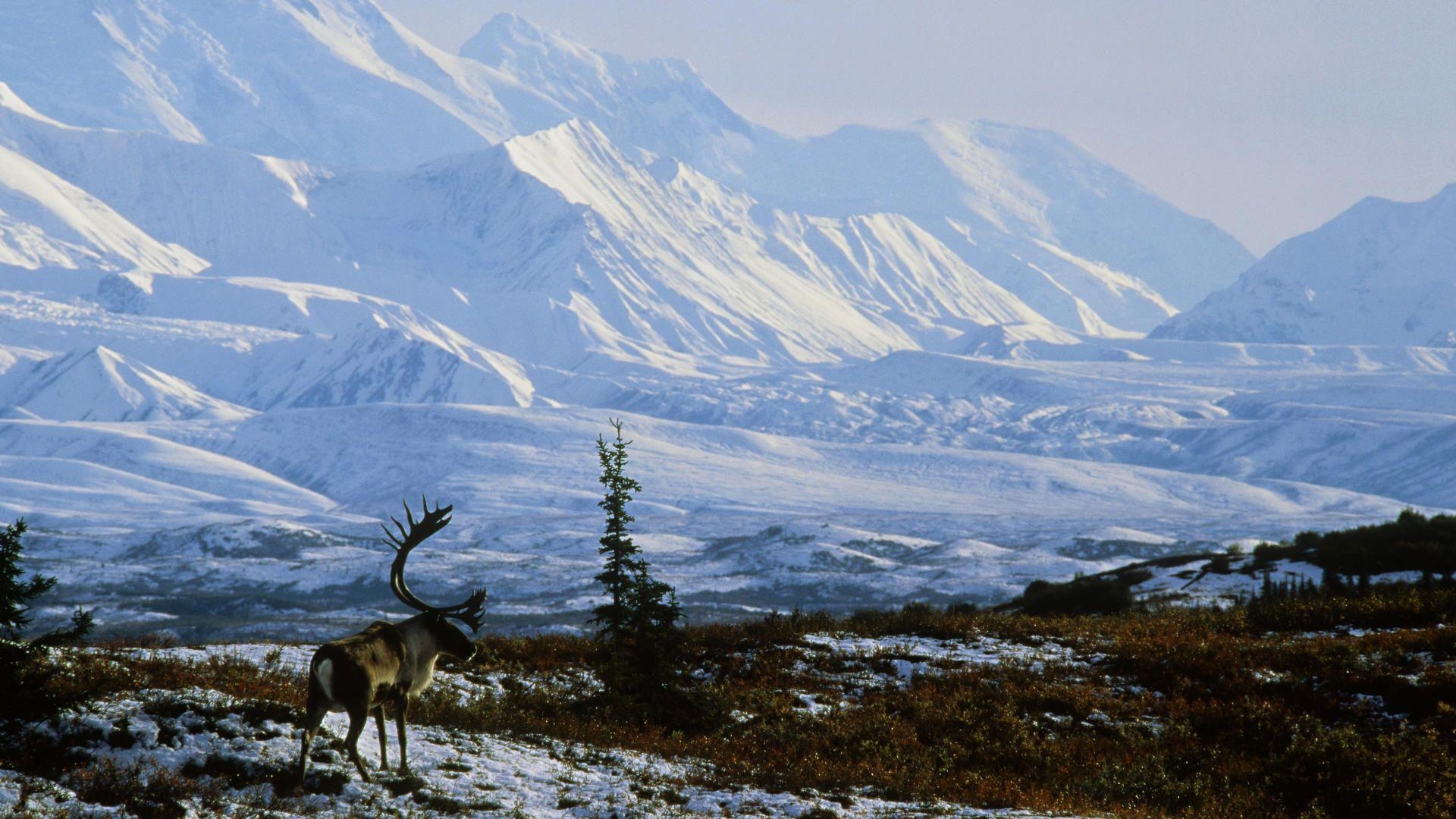 Alaska, HD, Hintergrund, Natur, Panoramabild, 1920x1080 Full HD Desktop