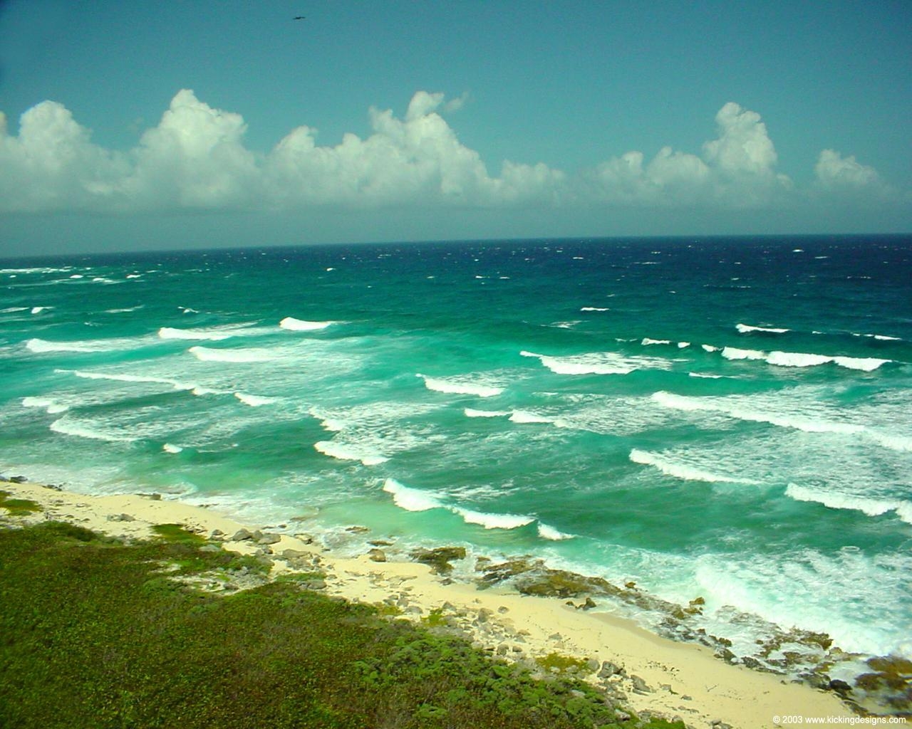 Cozumel, Reisen, Riffe, Karibik, Tauchparadies, 1280x1030 HD Desktop