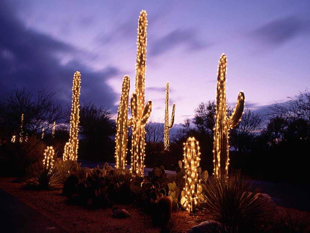 Tucson, Wüste, Hintergrund, Arizona, Google, 1030x770 HD Desktop