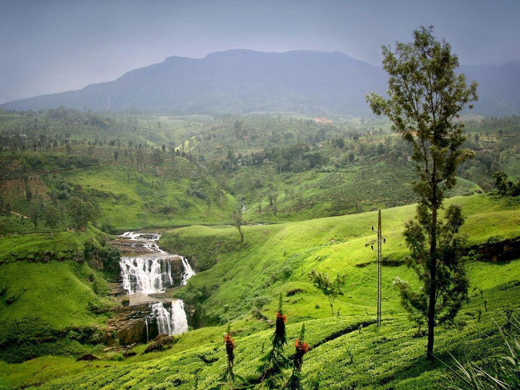 Sri Lanka, Regenwald, Gebirge, Abenteuer, Natur, 1030x770 HD Desktop