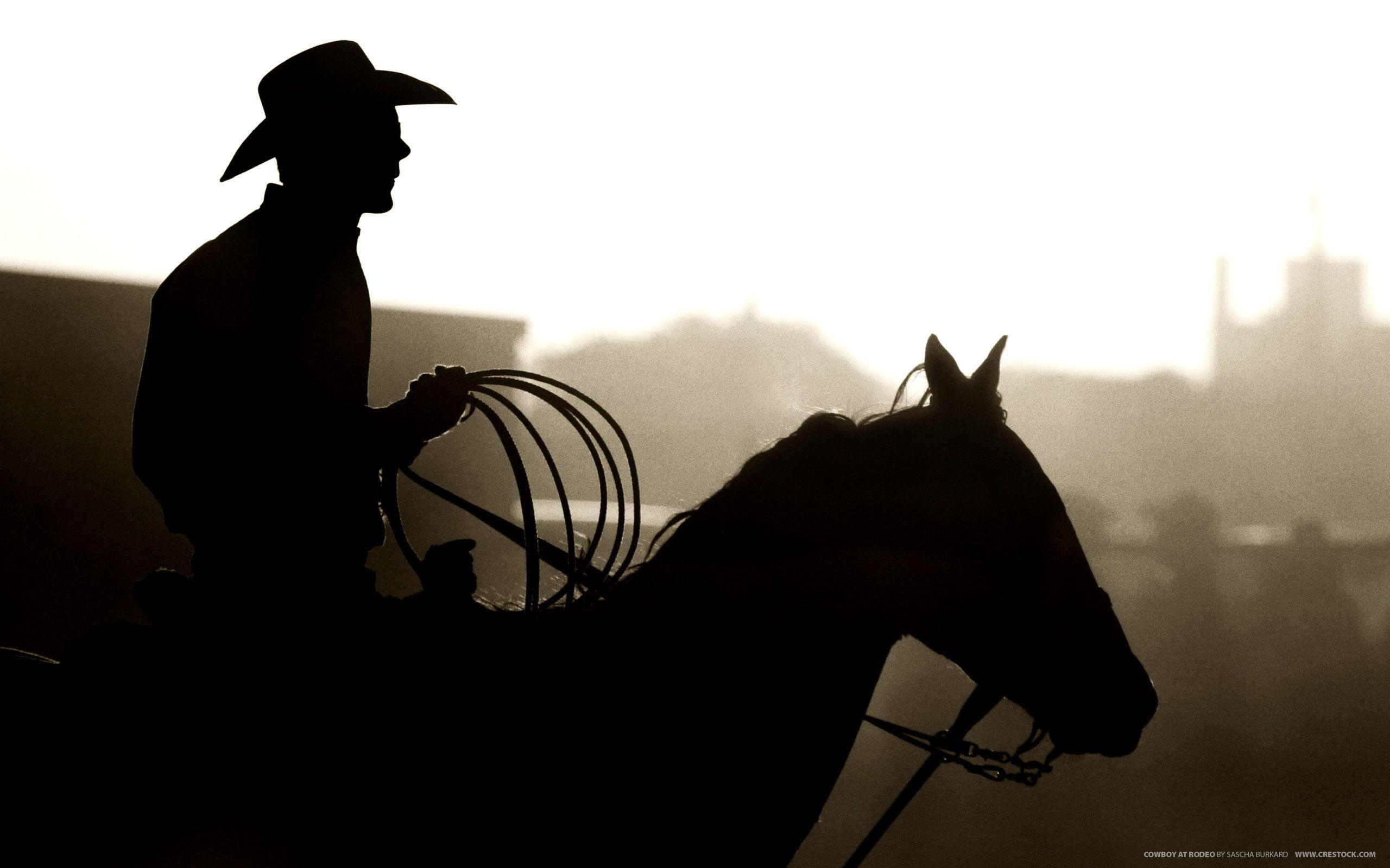 Rodeo, 42004, Hintergrund, Sport, Western, 2560x1600 HD Desktop