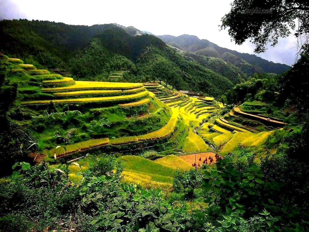 Reisebericht, Banaue, Planung, Freundesgruppe, Highlight, 1030x770 HD Desktop