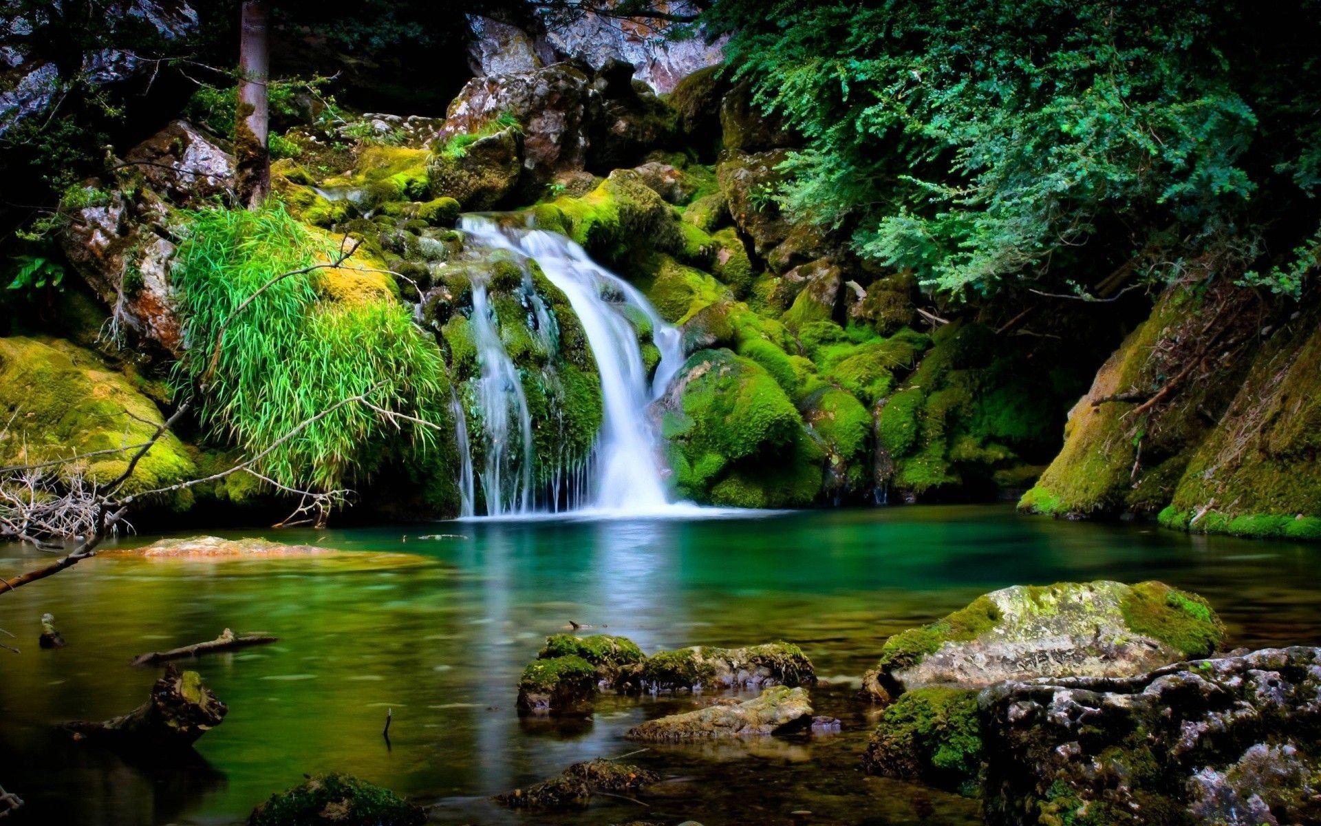 Waldwasserfall, Natur, PC, Bild, Wildnis, 1920x1200 HD Desktop