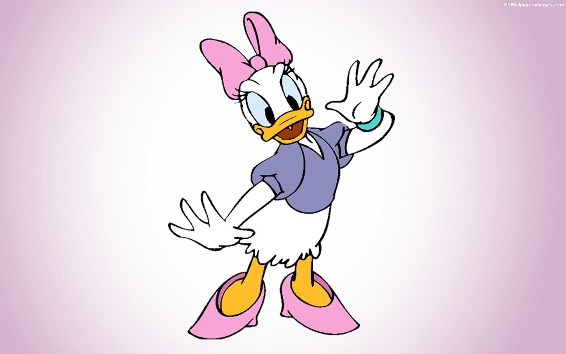 Daisy Duck, Cartoon, Charakter, Bild, Disney, 1920x1200 HD Desktop