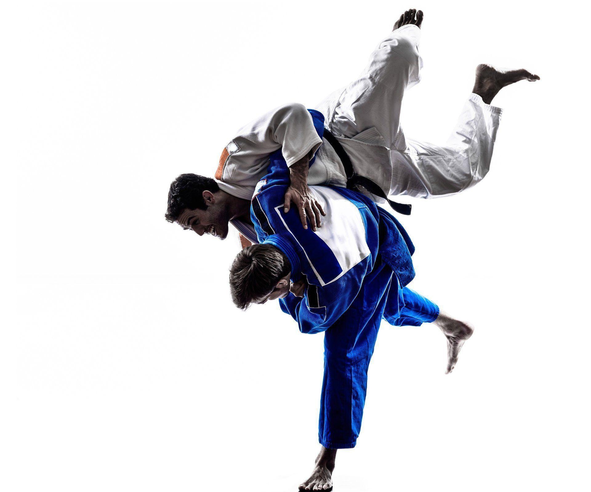 Judo, Jiu Jitsu, Bild, Kampfsport, Training, 1920x1600 HD Desktop