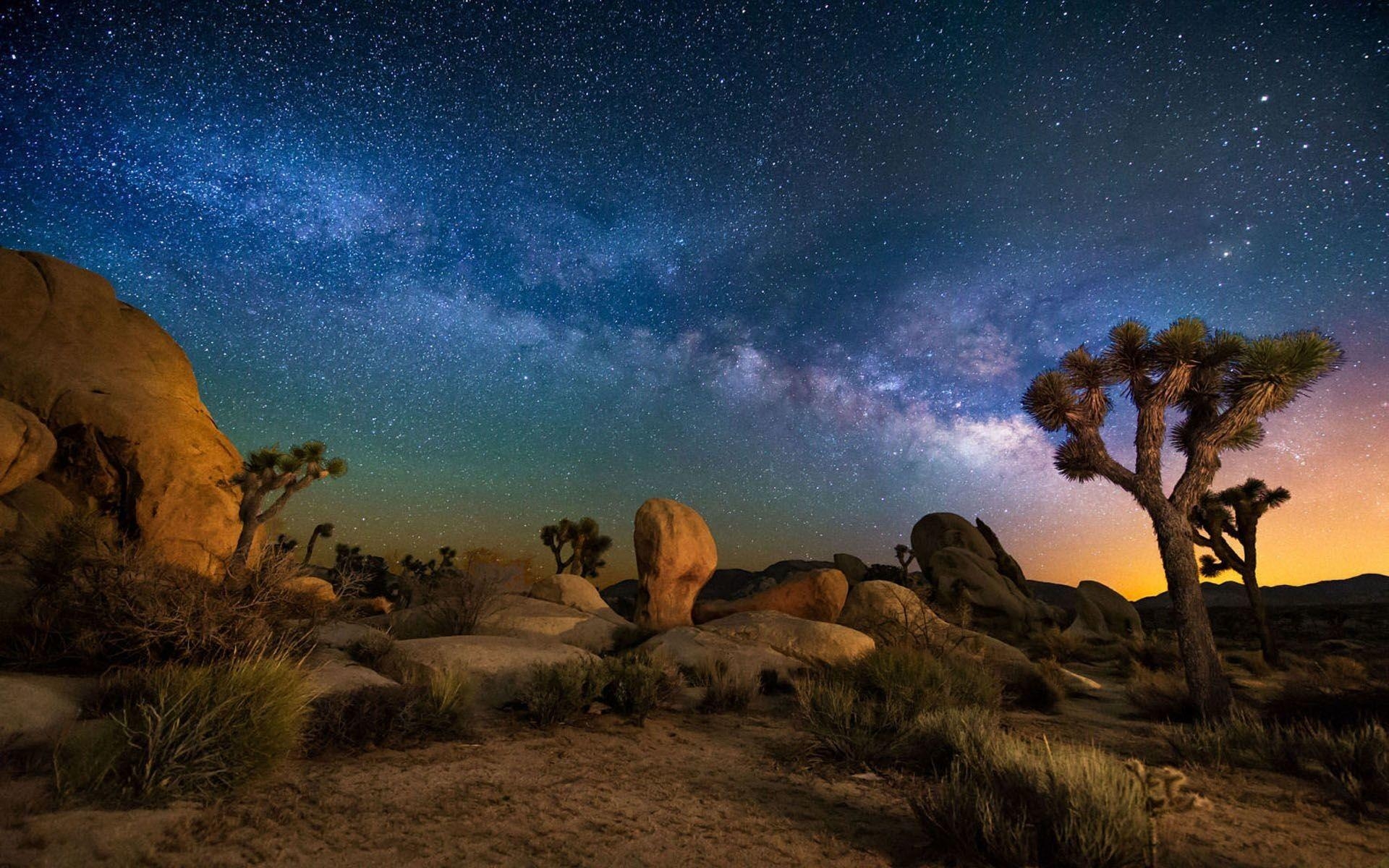 Joshua Tree, Kalifornien, Hintergrundbild, Natur, Park, 1920x1200 HD Desktop