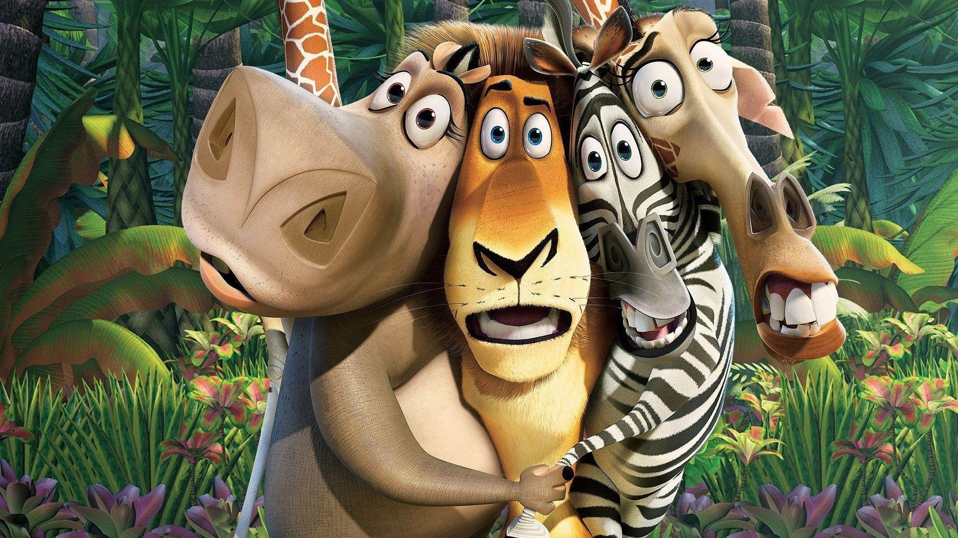 Madagascar, Film, DreamWorks, HD, Bilder, 1920x1080 Full HD Desktop