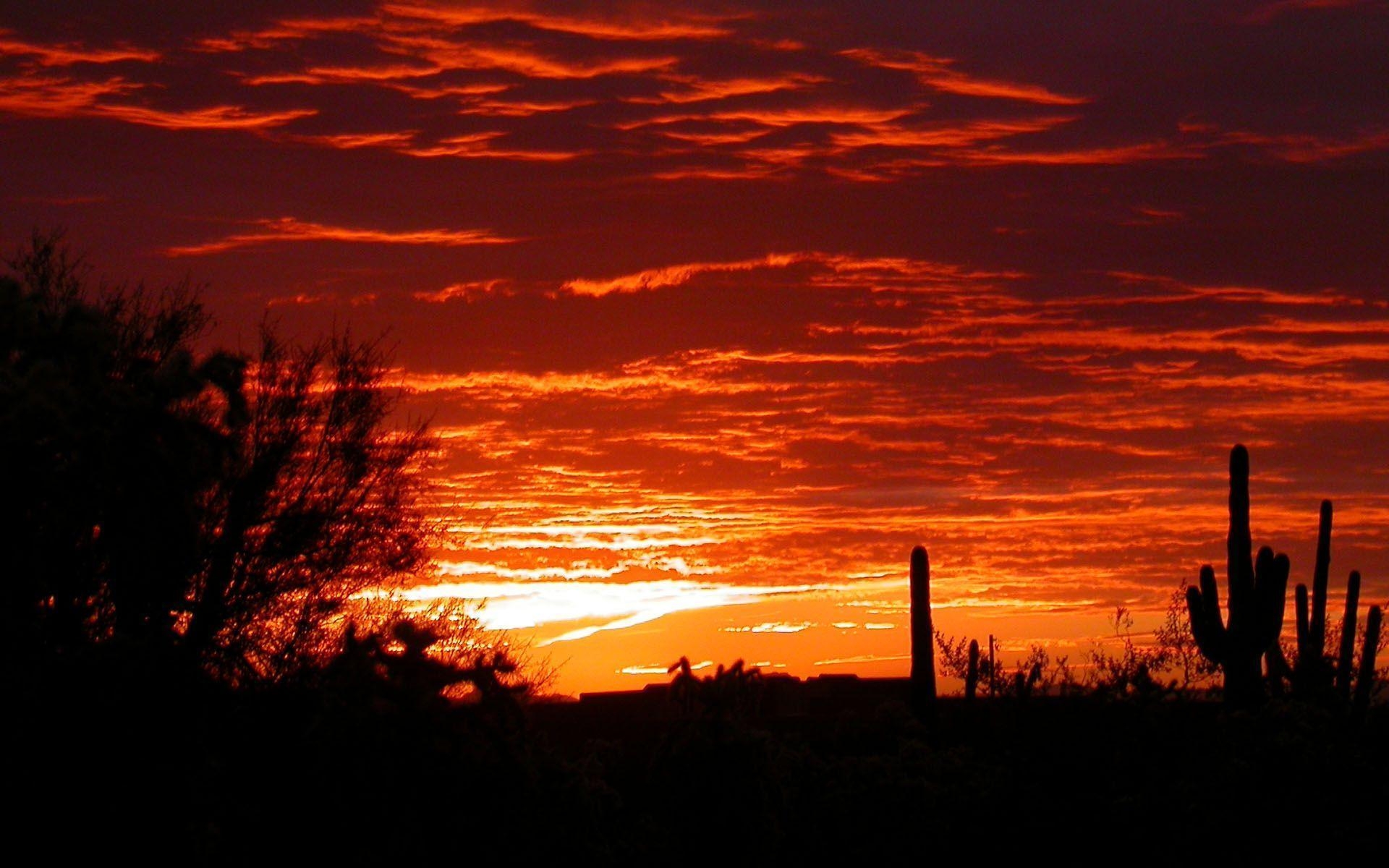 Phoenix, Arizona, Reisen, Hintergrundbild, 1920x1200 HD Desktop