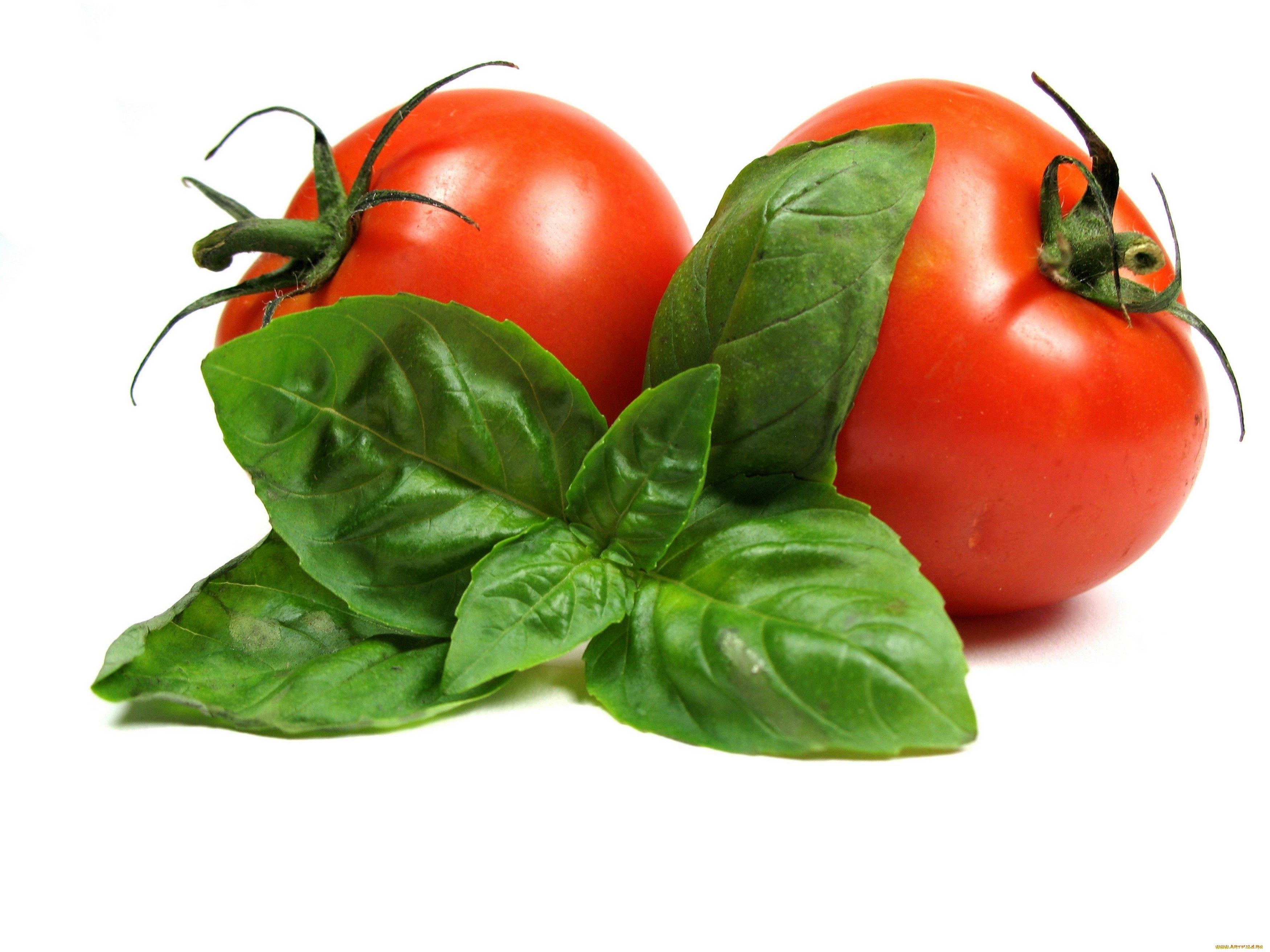 Tomate, HD Hintergrund, Bild, Gemüse, Essen, 3500x2630 4K Desktop