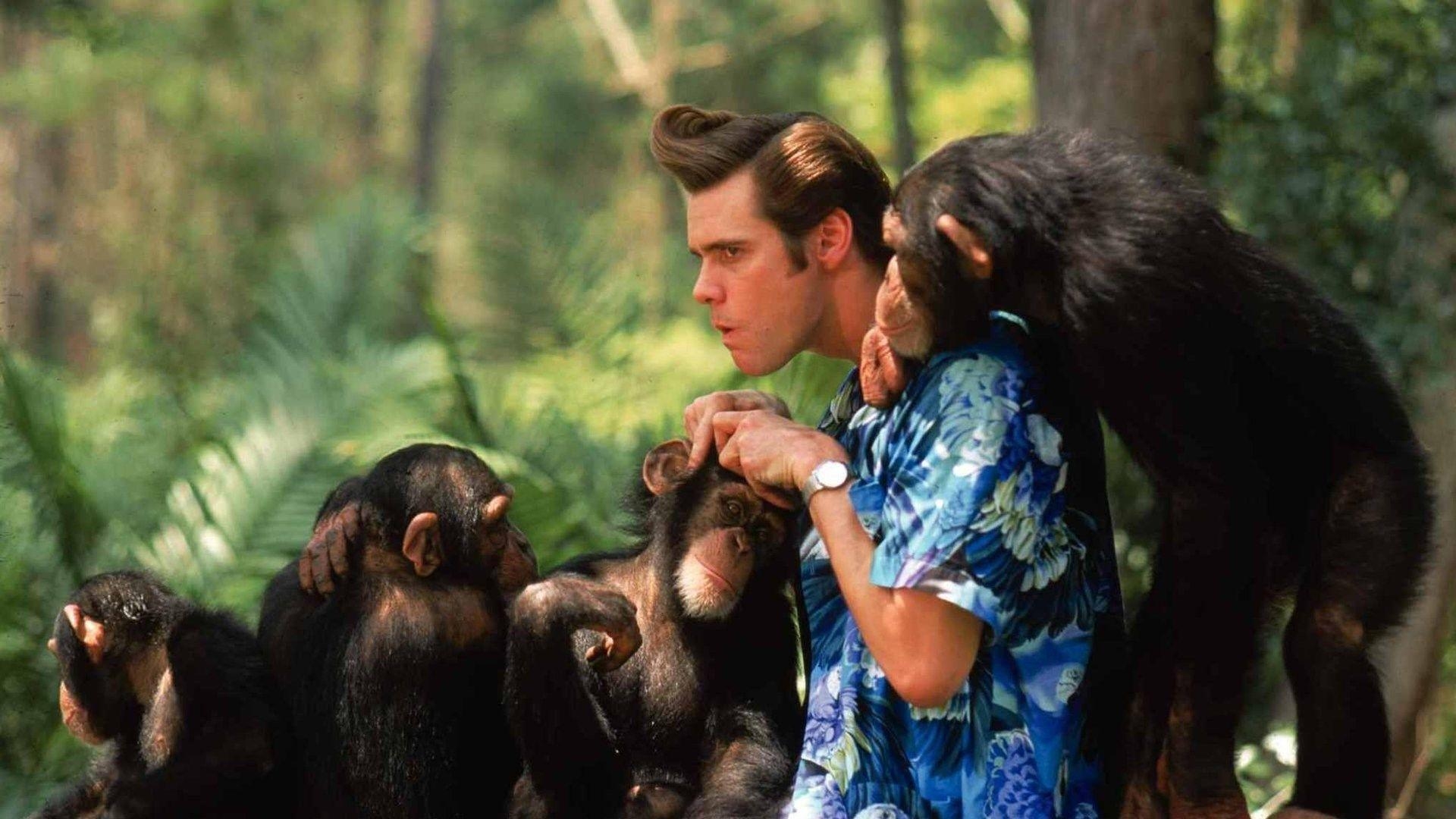 Ace Ventura, Natur ruft, Jim Carrey, Film, Hintergrund, 1920x1080 Full HD Desktop