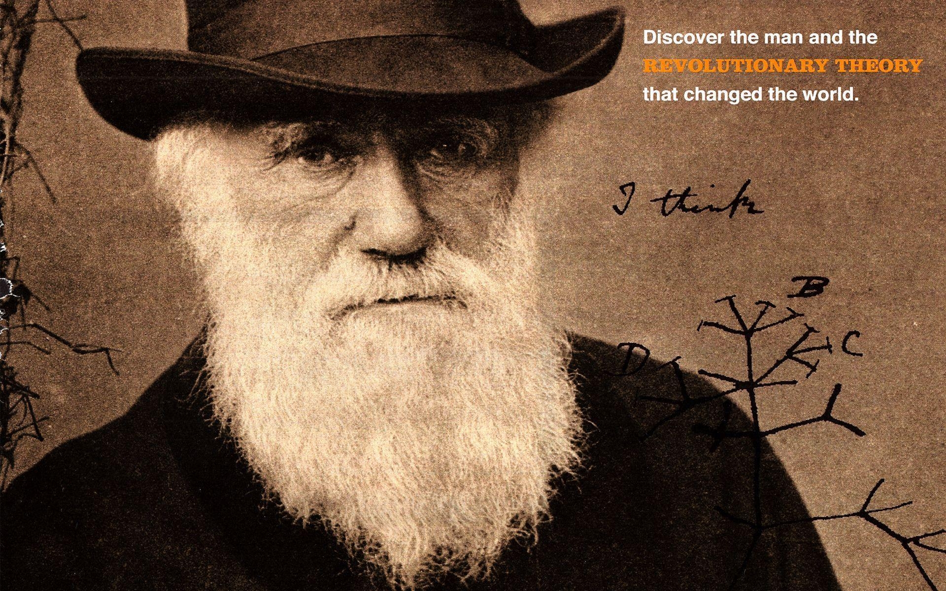 Charles Darwin, Evolutionstheorie, Wissenschaftliche Illustration, Natur, 1920x1200 HD Desktop