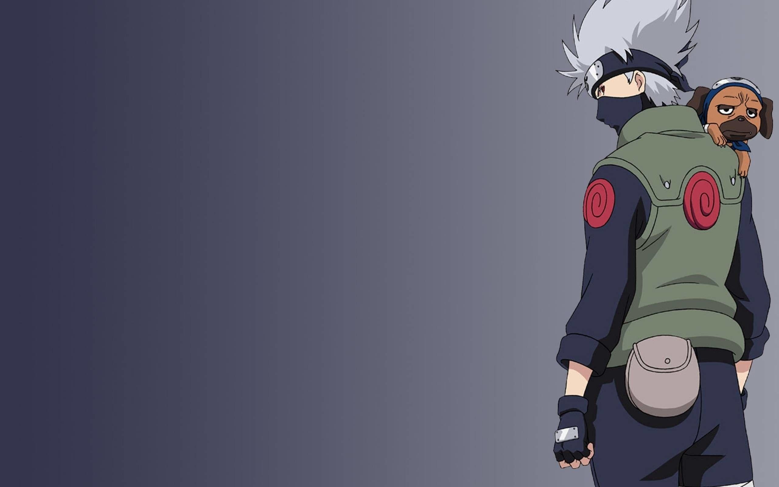 Kakashi Hatake, Wallpaper, HD, Anime, Charakter, 2560x1600 HD Desktop