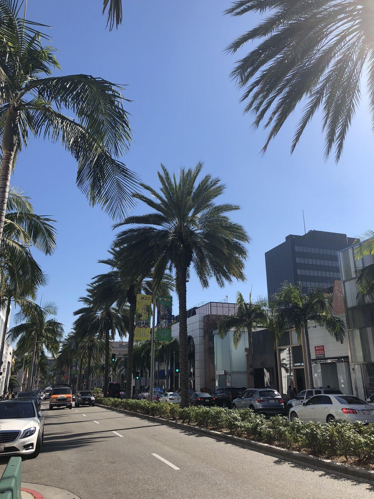 Beverly Hills, Rodeo Drive, Palmen, Designergeschäfte, Luxus, 1540x2050 HD Handy