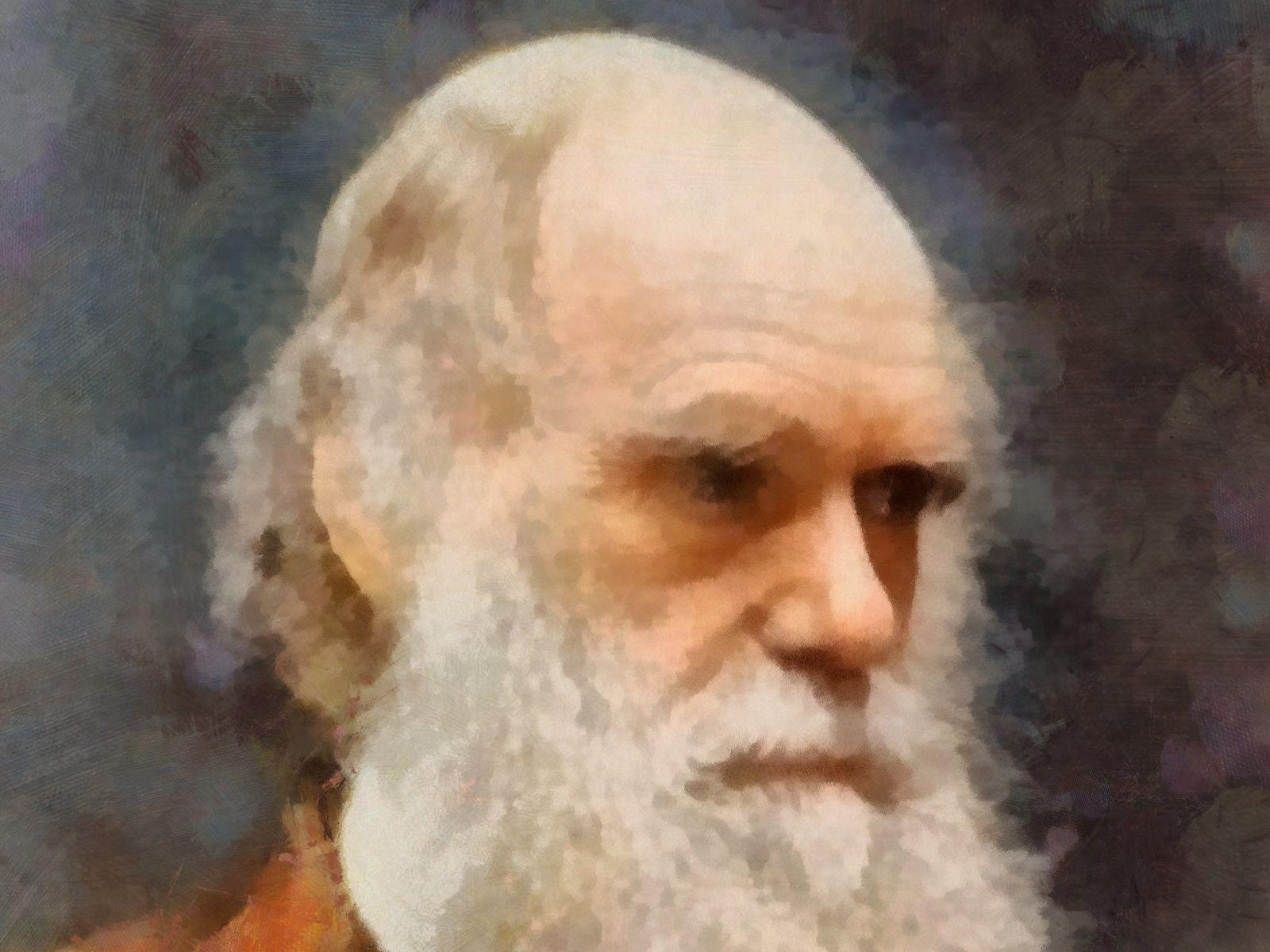 Charles Darwin, Bart, Berühmtheit, Malerei, Kunst, 1600x1200 HD Desktop