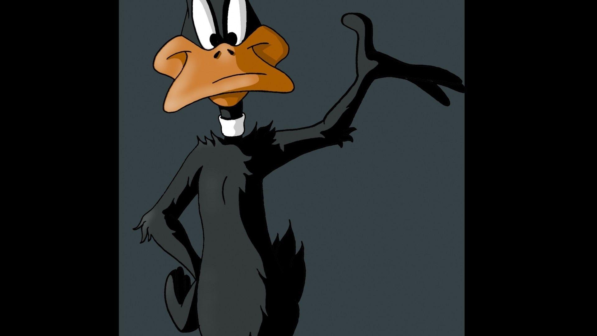 Daffy Duck, Cartoon Bild, Hintergrund, HD, Looney Tunes, 1920x1080 Full HD Desktop