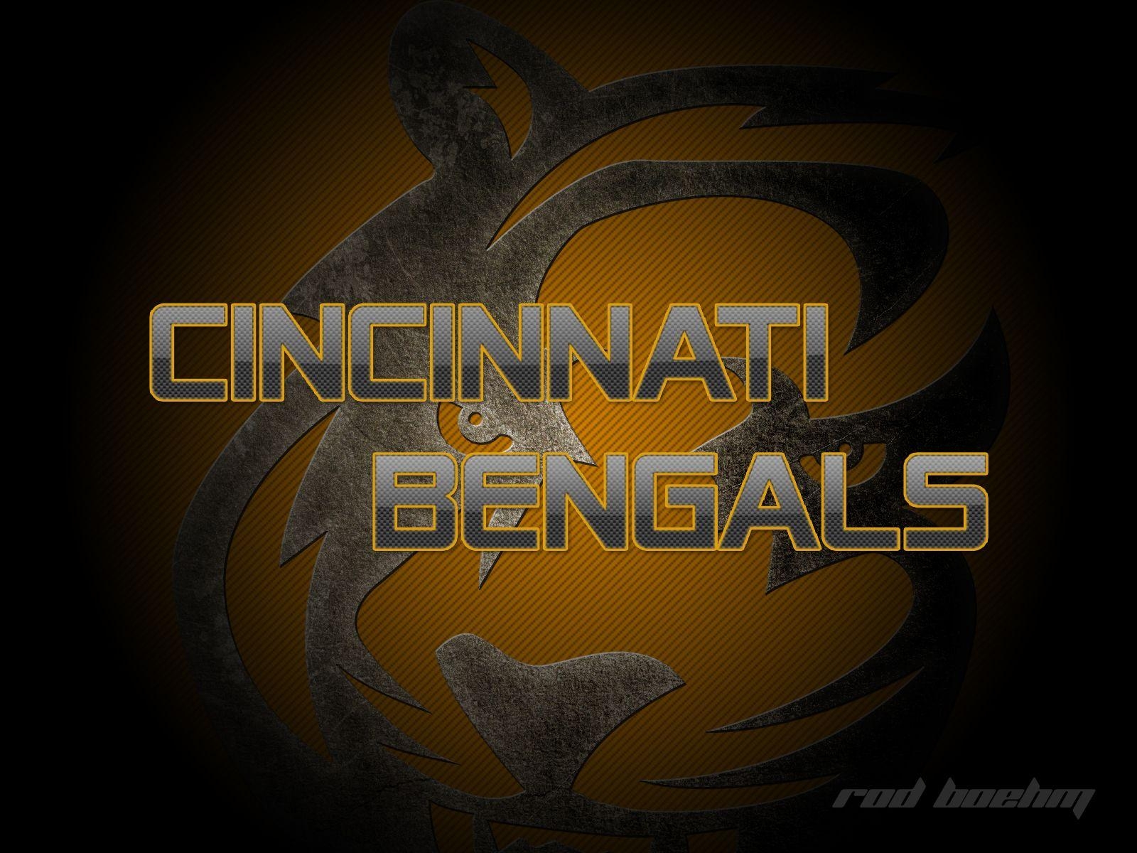 Cincinnati Bengals, Hintergrundbild, NFL, Sport, Team, 1600x1200 HD Desktop