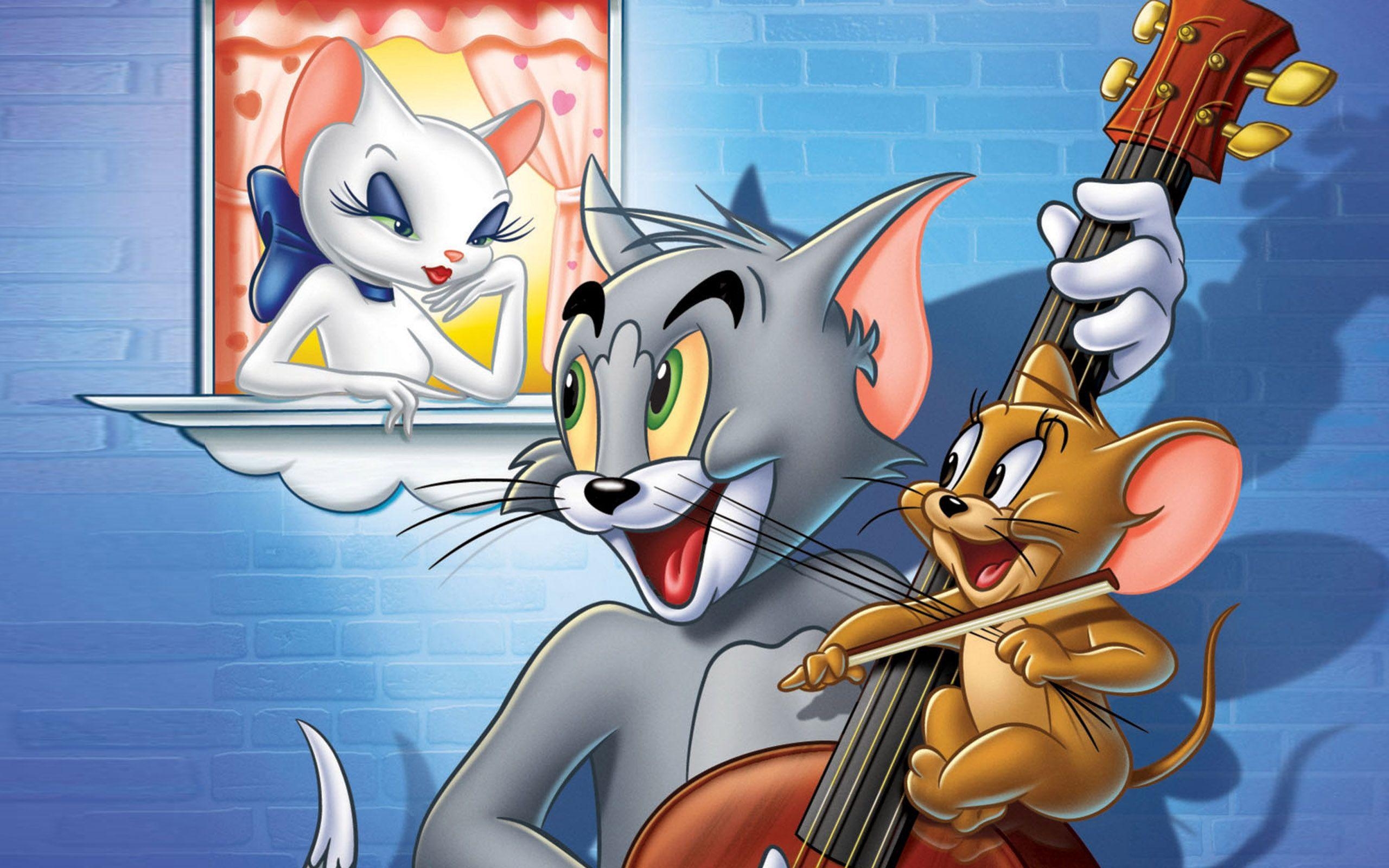 Tom und Jerry, Abenteuer, Desktop, Cartoons, Klassiker, 2560x1600 HD Desktop