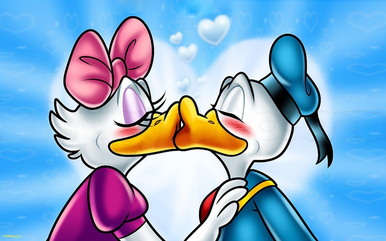 Donald Duck, Cartoon, Galerie, Interessant, Disney, 1600x1000 HD Desktop