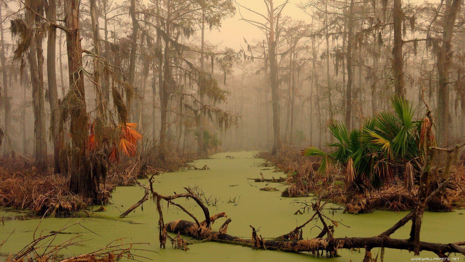 Reisen, Louisiana, Südstaaten, USA, Kulturerbe, 1920x1080 Full HD Desktop