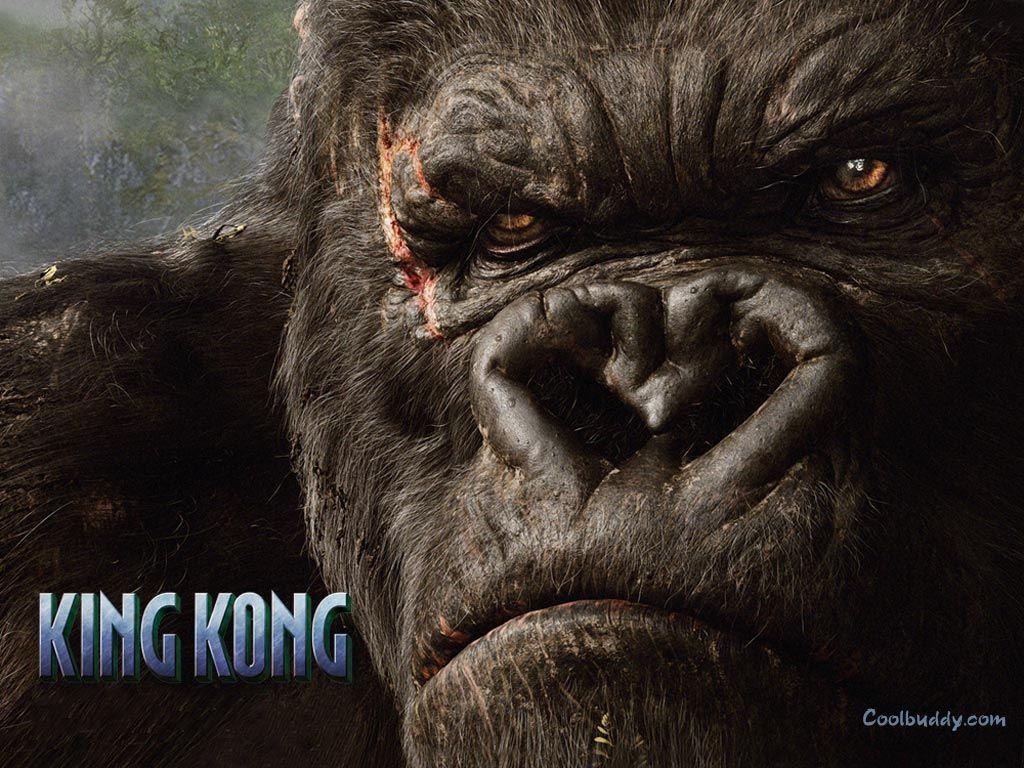 King Kong, Bilder, Abenteuer, Film, Hintergrund, 1030x770 HD Desktop