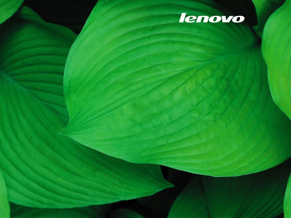 Lenovo, HD, Windows, Hintergrund, Technologie, 1030x770 HD Desktop