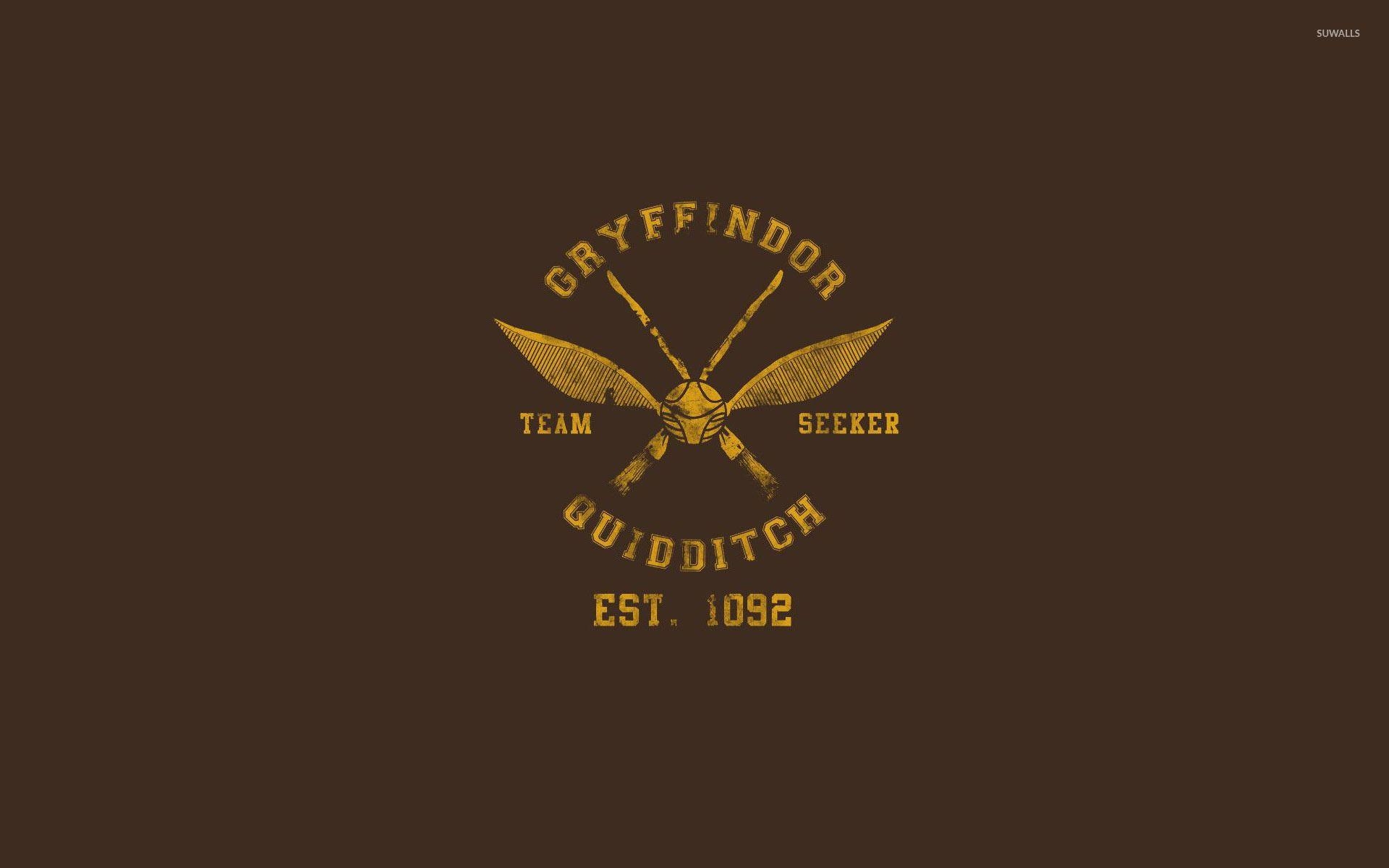 Gryffindor, Quidditch, Team, Harry Potter, Magie, 1920x1200 HD Desktop