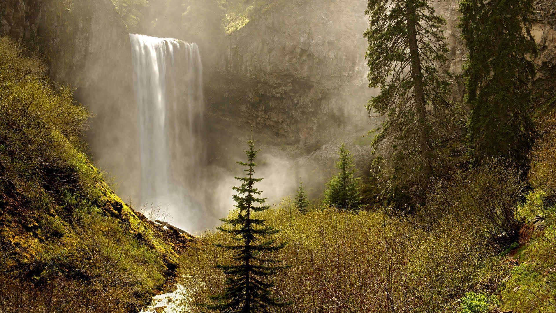 Oregon, Wasserfall, Schönheit, Natur, Landschaft, 1920x1080 Full HD Desktop