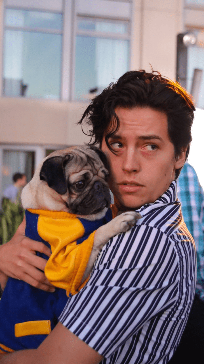 Cole Sprouse, Schauspieler, Bild, Teen Choice Awards, Hollywood, 720x1280 HD Handy