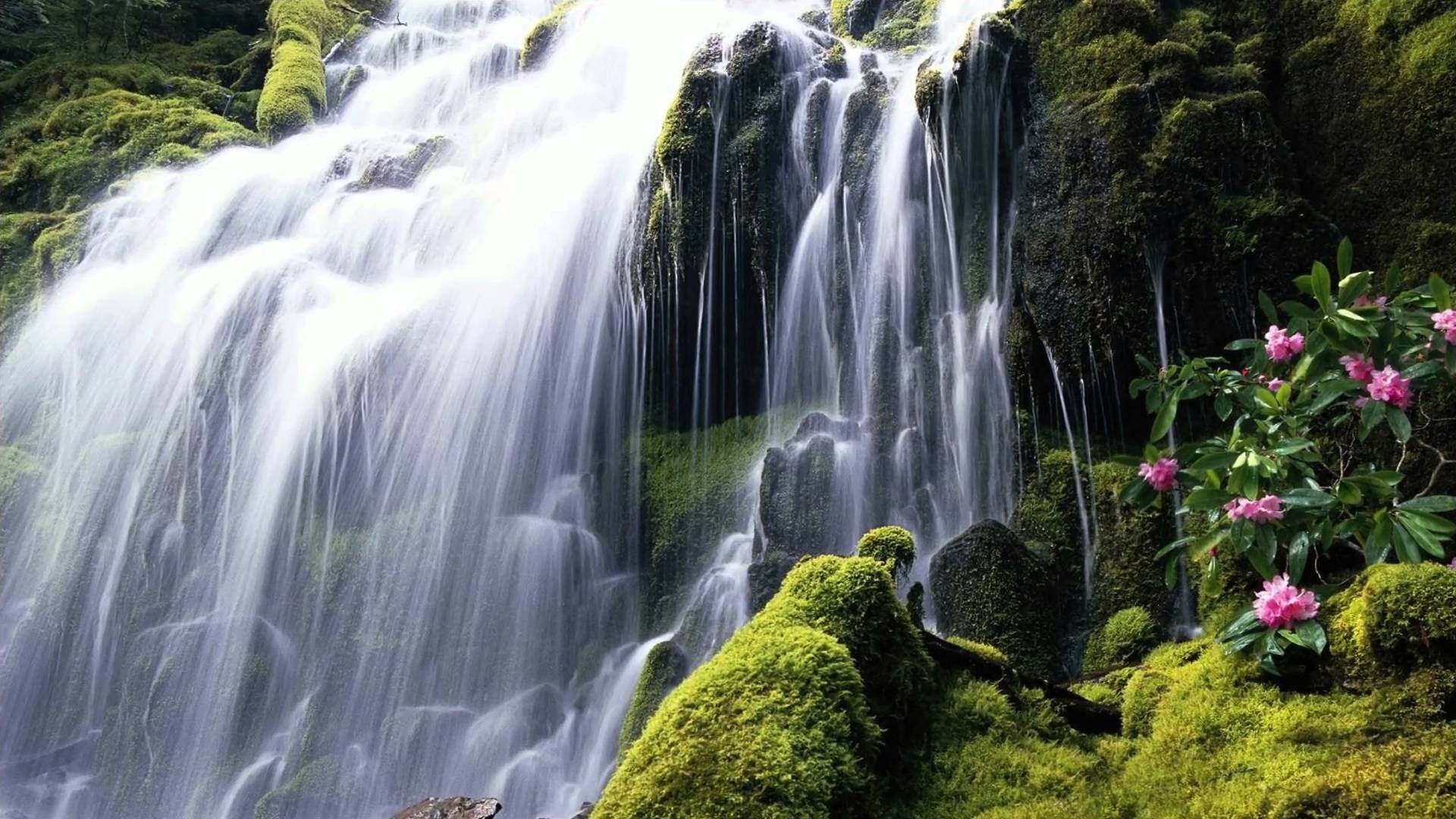 Wasserfall, HD, Schön, Natur, Landschaft, 1920x1080 Full HD Desktop