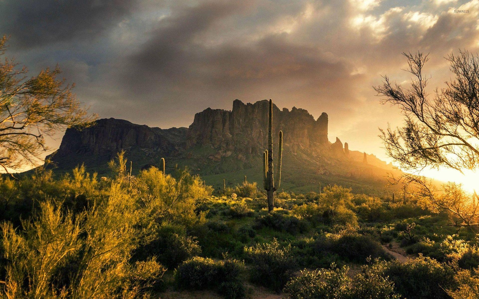 Superstition Mountains, Arizona, Natur, Reisen, Abenteuer, 1920x1200 HD Desktop