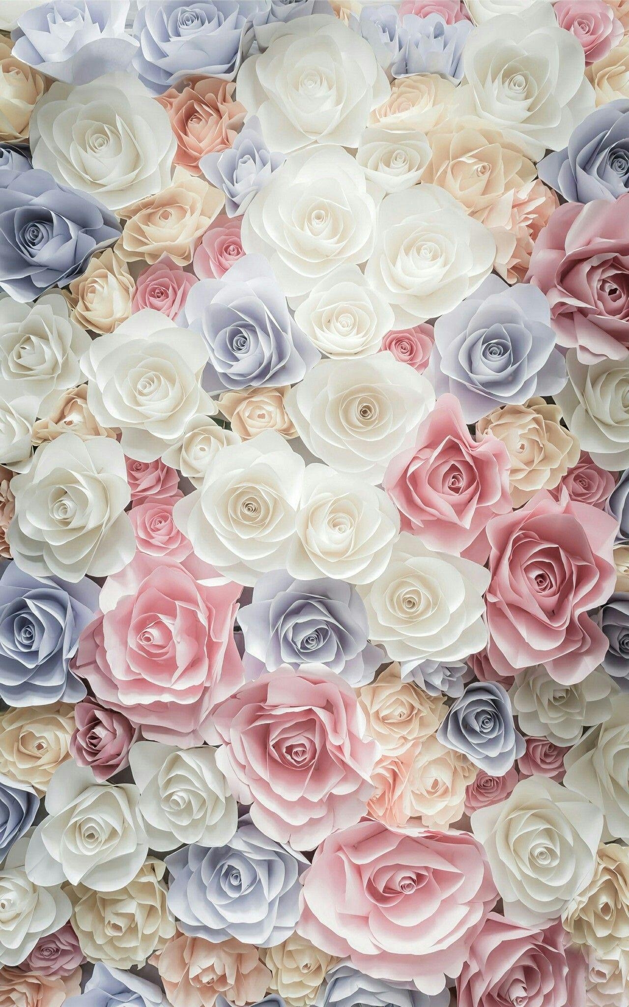 iPhone, Blumengarten, Rosen, Schnittblumen, Natur, 1280x2050 HD Handy