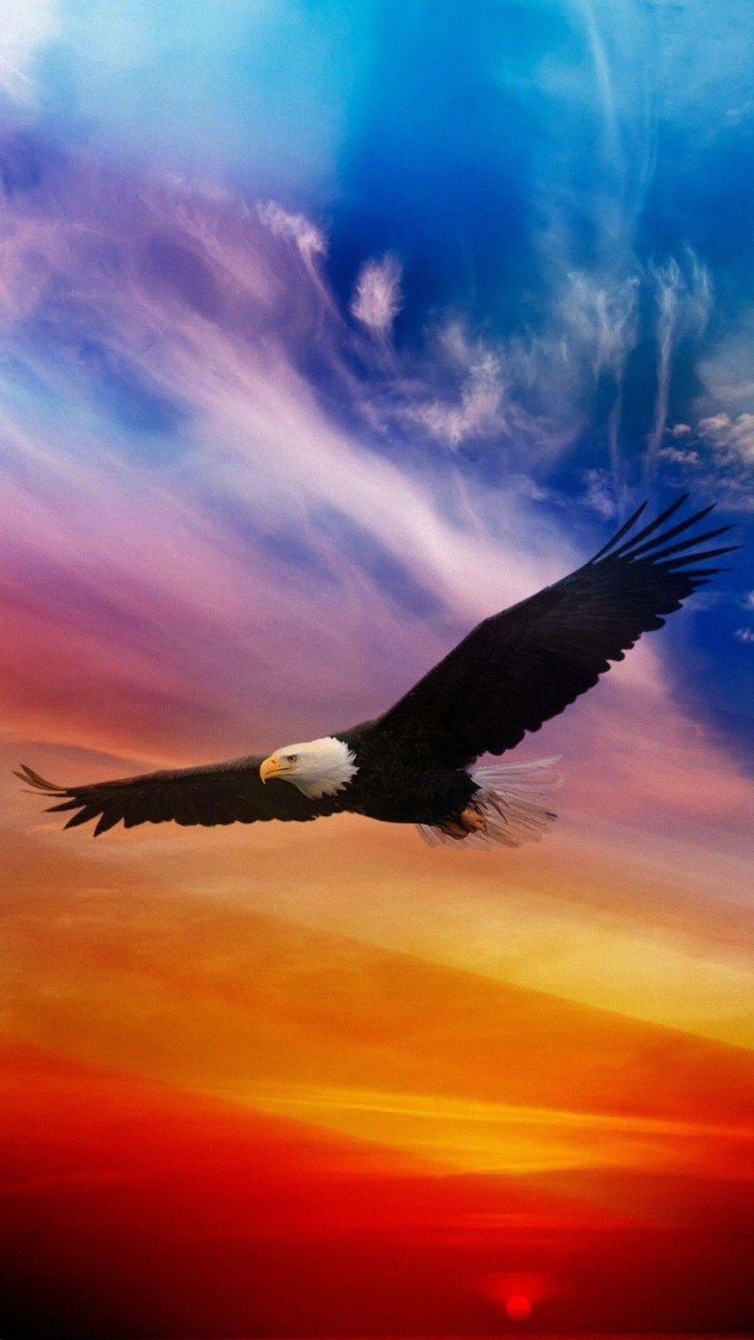 Adler Iphone, HD 3D Bild, Tierhintergrund, 1080x1920 Full HD Handy