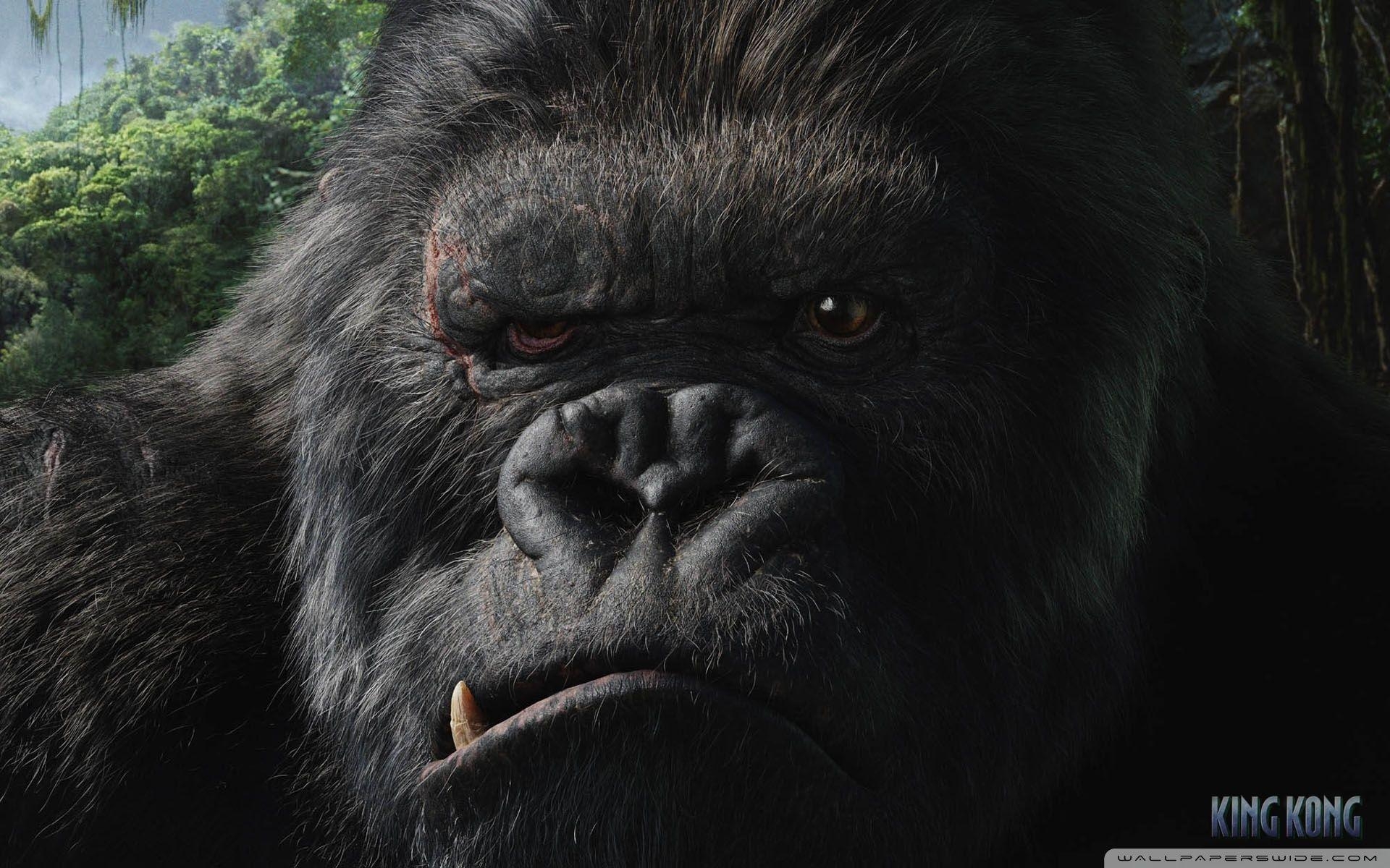 King Kong, Riesenaffe, Kino, Abenteuerfilm, Bild, 1920x1200 HD Desktop