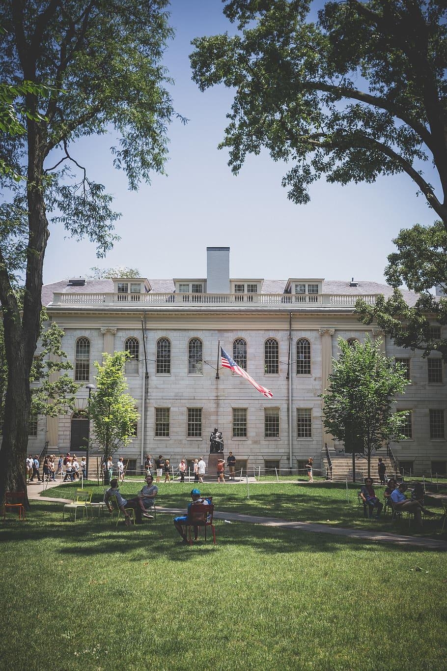 Harvard Yard, 1080p, 4k, HD, Download, 910x1370 HD Handy