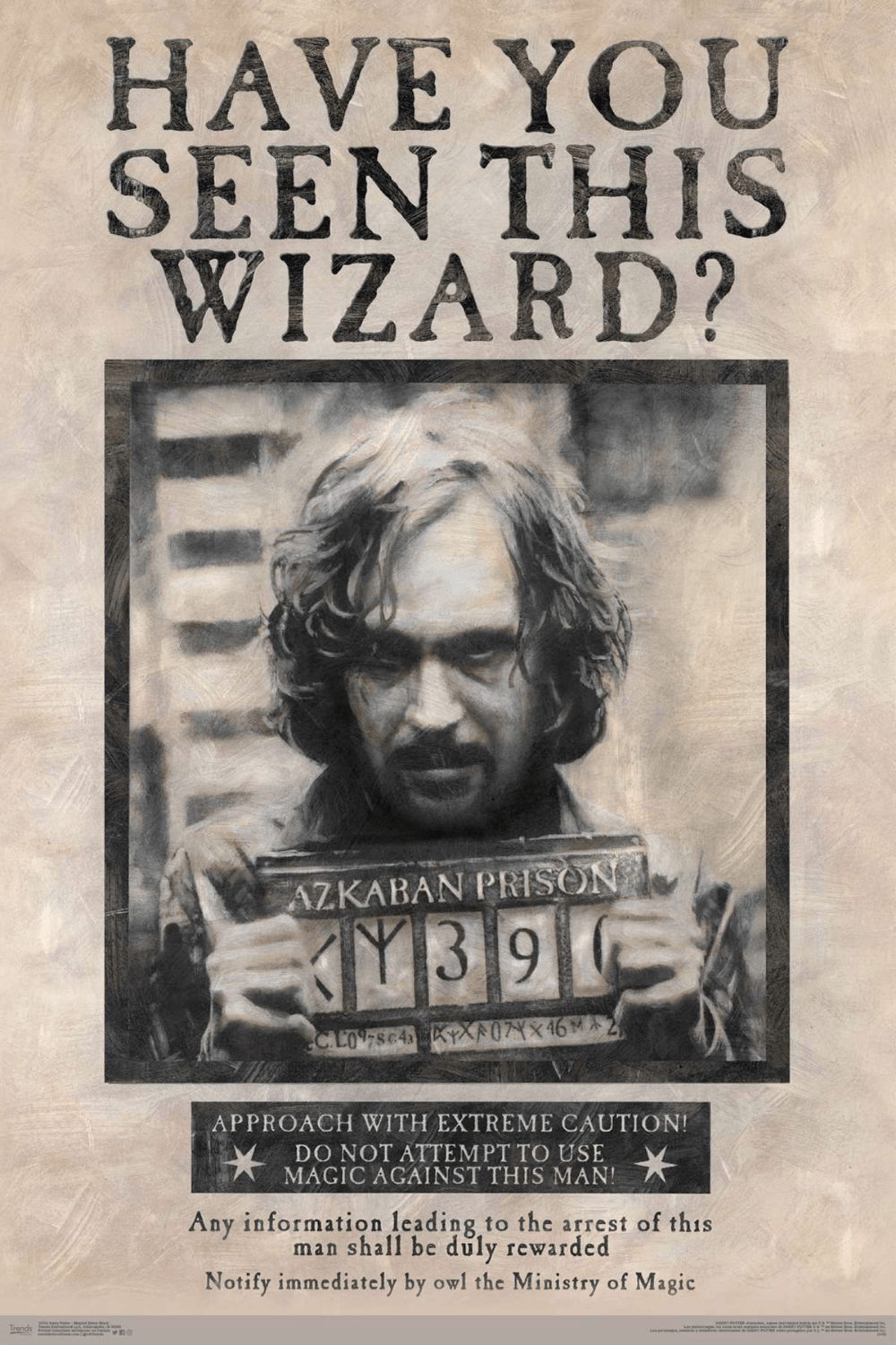 Sirius Black, Harry Potter, Zaubererwelt, gesuchtes Poster, Filme, 1000x1500 HD Handy