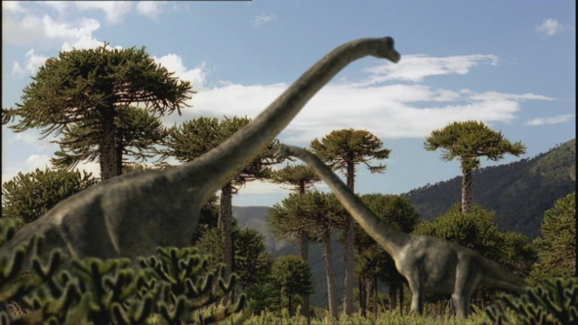 Brachiosaurus, Dinosaurier, Jura, Bild, Tier, 1920x1080 Full HD Desktop