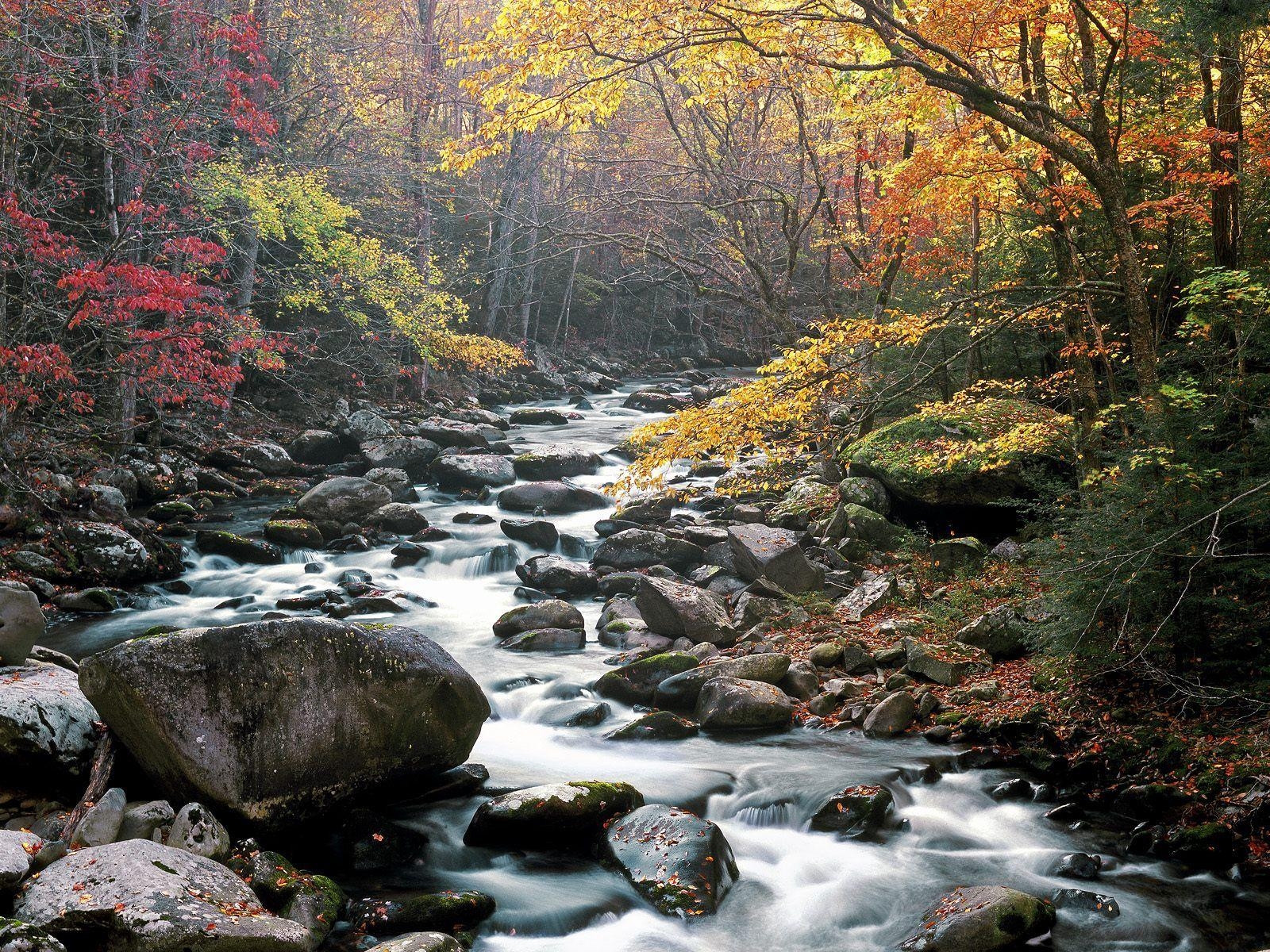 Little River, Nationalpark, HD Wallpaper, Tennessee, USA, 1600x1200 HD Desktop