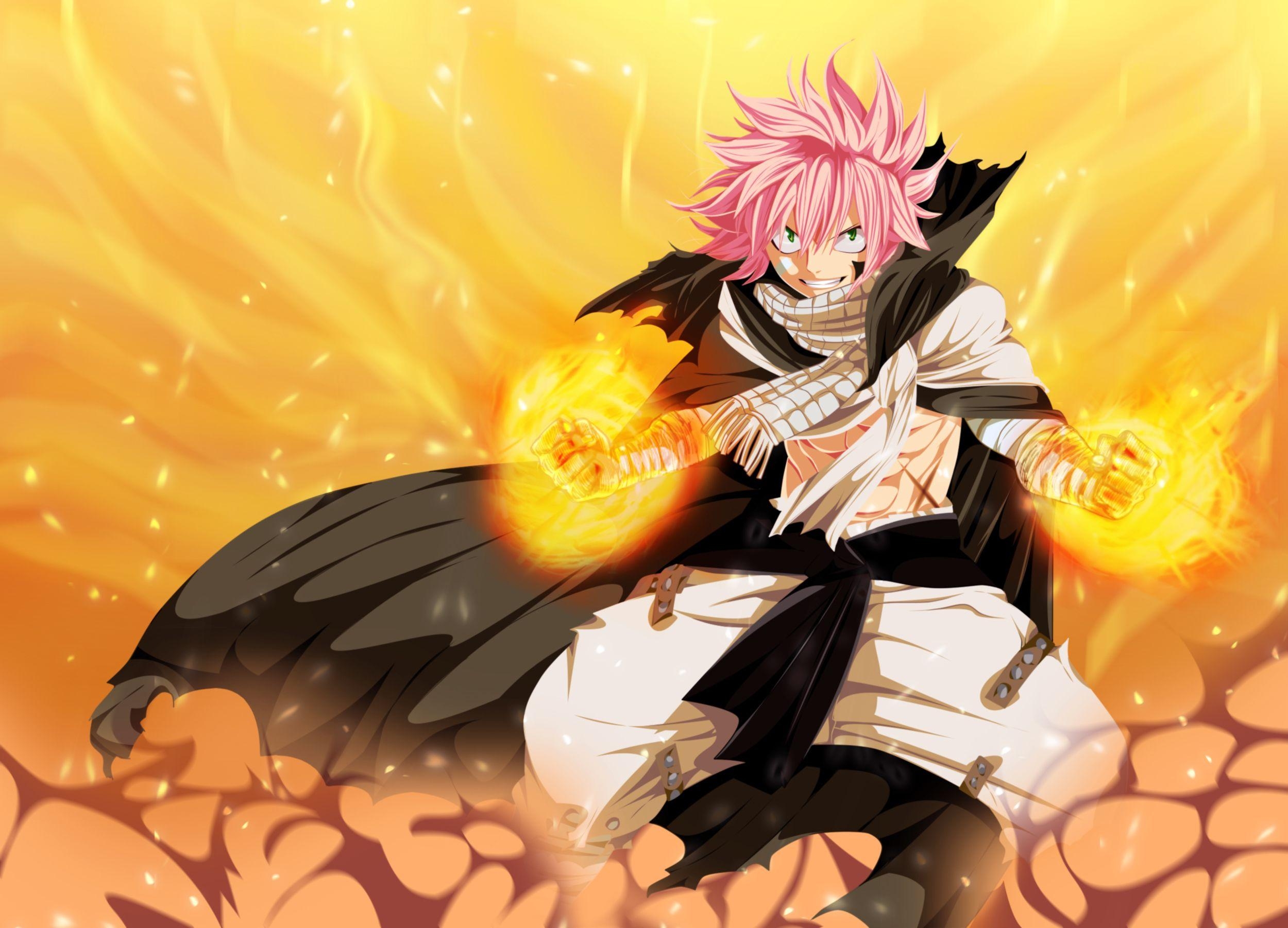 Laxus Dreyar, Natsu Dragneel, Anime, Kampf, Gilgameshthepimp, 2500x1810 HD Desktop